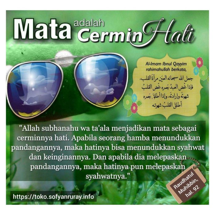 25279899-e384-4a53-bf4f-840e14cb44ab